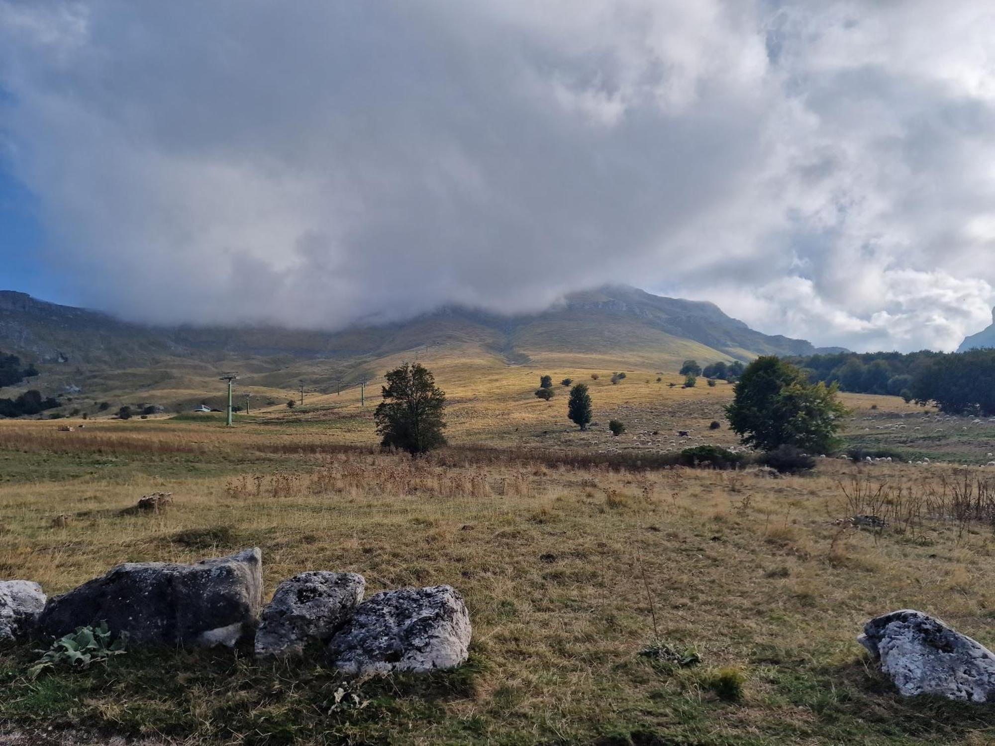 La Tana Del Capriolo Daire Prati di Tivo Dış mekan fotoğraf